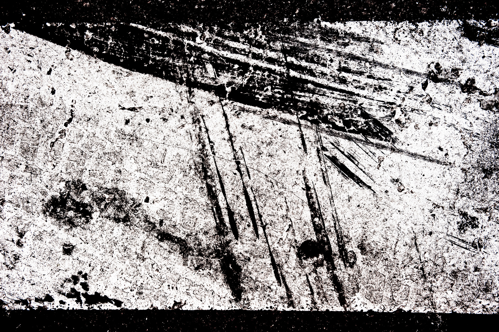 DSC 5348